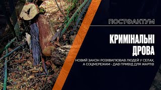 Кримінальні дрова: новий закон розхвилював людей у селах, а соцмережам - дав привід для жартів