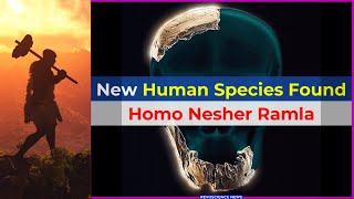 Homo Nesher Ramla | New Human Species Discovered | Archaeology