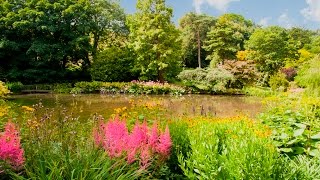 Beautiful English Gardens Vol 3