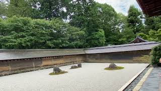 Beautiful and Peaceful Friday at Ryōan-ji Rock Garden #asmr #Ryōan-ji #japanesegarden