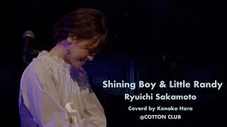 星になった少年 Shining Boy & Little Randy / Ryuichi Sakamoto Covered by #KanakoHara #はらかなこ