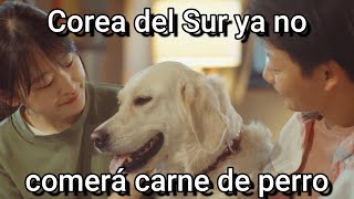 Corea del Sur ya no comerá Carne de Perro