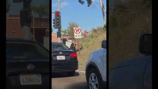 The hero we need! Man chops down sign with axe at busy intersection