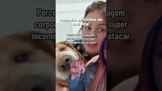 VEJA O QUE ACONTECE QUANDO VOCÊ IGNORA A LINGUAGEM CORPORAL DE UM CÃO!!!