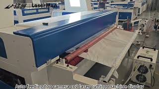 [LaserMen] LM-1610 Co2 fabric laser cutting machine