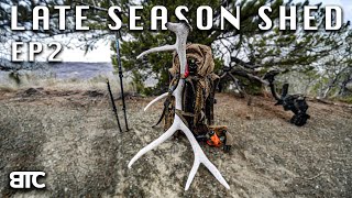 LATE SEASON BULLS | EP 2 | BTC