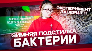 Зимняя подстилка. Бактерии.Эксперимент завершен.