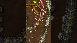 {#047}& WormsZone.io Slither Snake Top01/Best World Record I Kill the biggest snake Worms #wormszone