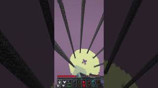 elytra fail