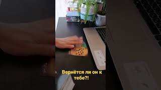 вернётся ли к тебе бывший?!