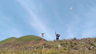 Flying Kites in the mountain with our dog #shorts