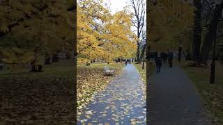 Atumn Relaxing Walk 🍂🍂 #nature #gothenburg #traveldestinations #stockholm #europeantravel #autumn