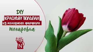 Красный тюльпан из холодного фарфора. Тонировка. МК