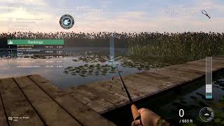 Fishing Planet - Monday Afternoon Competitions and Chill Stream