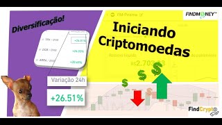 Iniciando no mercado de criptomoedas - Resumão - FindCrypto!