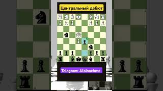 Telegram: Albinachess #chess #шахматы #chorts