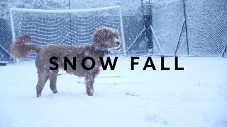 2021 SNOW FALL (UK) 200 FPS