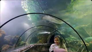 seaworld Dufan Indonesia