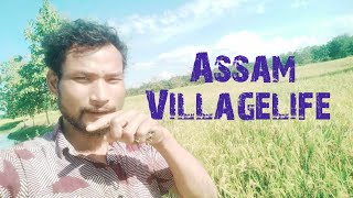 Assam Village 🏠 Video Villagelife Bolgs