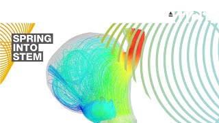 Computational modelling: the heart of the matter | Spring Into STEM