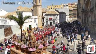 SEMANA SANTA DE MORON 2017, La Borriquita, Domingo de Ramos