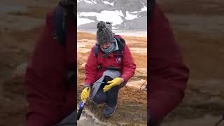 Uncovering the Insane Secret Behind Antarctica's Blood Falls