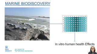 Circular economy and bioeconomy: Blue Bio Economy: innovations in blue life sciences