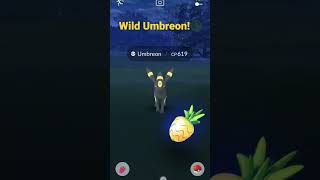 Umbreon in the wild!🌗 #dark #pokemongo #shorts (Like and Subscribe for more fun shorts!)