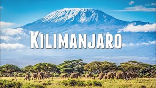 View on Top of Africa Mount Kilimanjaro summit