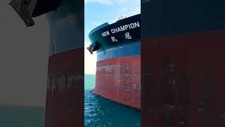 New Champion🚢VLCC #shorts #tanker #biggest #largest #vlcc #ship  #seaman