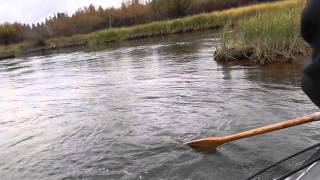 Brown Trout Fishing in Central Oregon