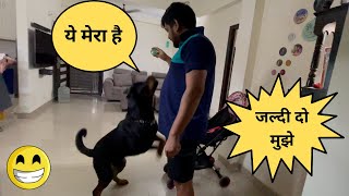 Excited rottweiler jumps on his owner 🤪 | Funny dog videos 😊