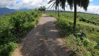 Short ride in Palmar Costa Rica