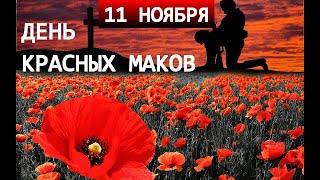 11 ноября - что это за дата и почему её символ маки