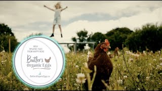 Butler's Organic Egg Farm - Happy Hens | Tasty Eggs