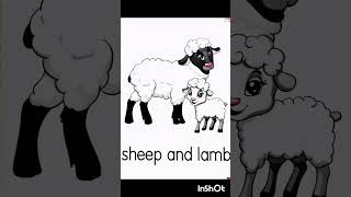 Animals and their babies#education #kids learning video#entertaning #viralshorts #viralvideo