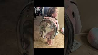 From 1-10 how cute is patches in her own backpack