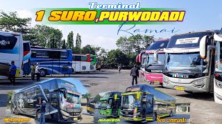 TGL 1 SURO!! Suasana Terminal Purwodadi di Hari 1 Suro