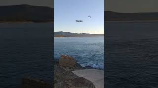 #short#youtube#video#good#early#morning#soothing#relaxing#mountain#city#sunny#day#sea#view#😍🎶🌞🌅🥰🏊🏄😘#