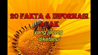 Kamu Harus Tahu I 20 Fakta dan Informasi Acak yang Jarang Diketahui I Fakta Duni I Fakta Unik