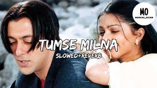 Tumse Milna | Slow+Reverb |