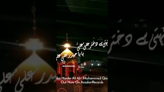 #ayyameali #noha2023 #21ramzan | Baba Haider Ali ع Ali ع | #noha #status #1444h