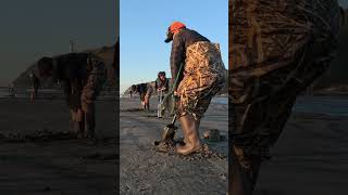 It's a family affair (Razor clam together) #fishing #clamming #shortvideo #pnw #shorts