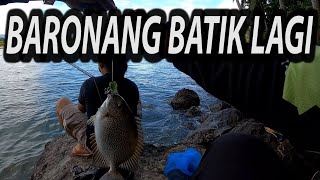 MANCING BARONANG DAPAT JACKPOT LAGI II Rabbitfish