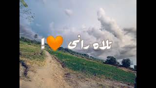 New status song Balochi status song Balochi Whatsapp status song #arifbaloch