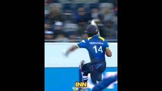 Top 3 Intense Thriller Celebration #cricket