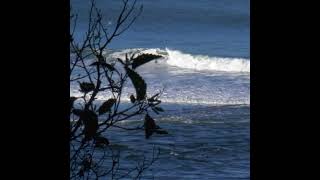 #Shorts Where River Meets Sea: The Breathtaking Estuary of the Klamath River