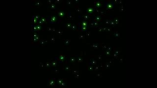 green particle template black screen templates new trending template