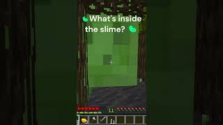 🦠What's inside the slime? 🦠 #minecraft #memecraft #meme #viral