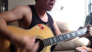 Never too late- Three Days Grace acustic cover(André Lopes)